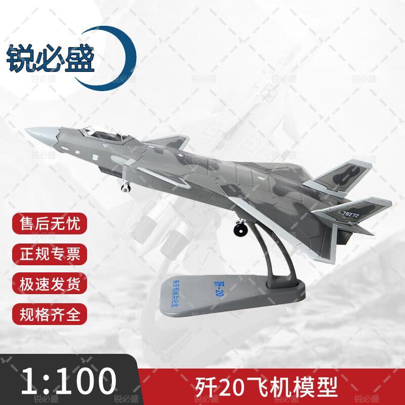 Ruibisheng Fighter Jet Model