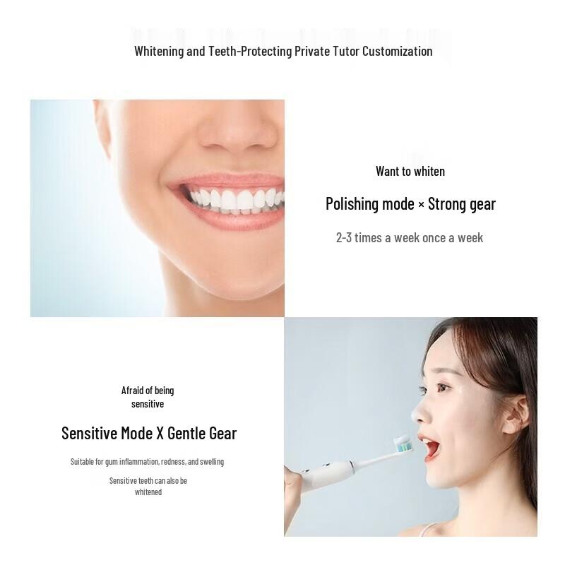 SID RT860 Sonic Electric Toothbrush for Adults CN plug (adapter included)