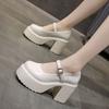 Mary Jane Shoes For Women Retro Pu Thick Heel Platform Casual Spring