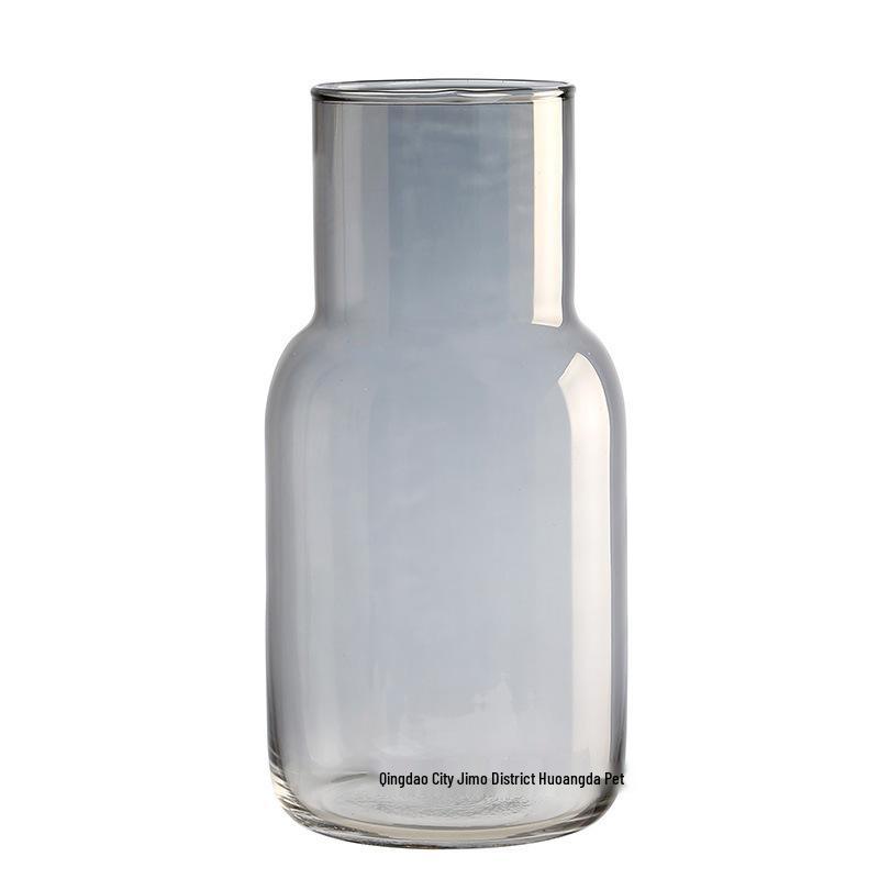 Transparent Minimalist Glass Vase for Office Decoration with Fresh or Dried Flowers