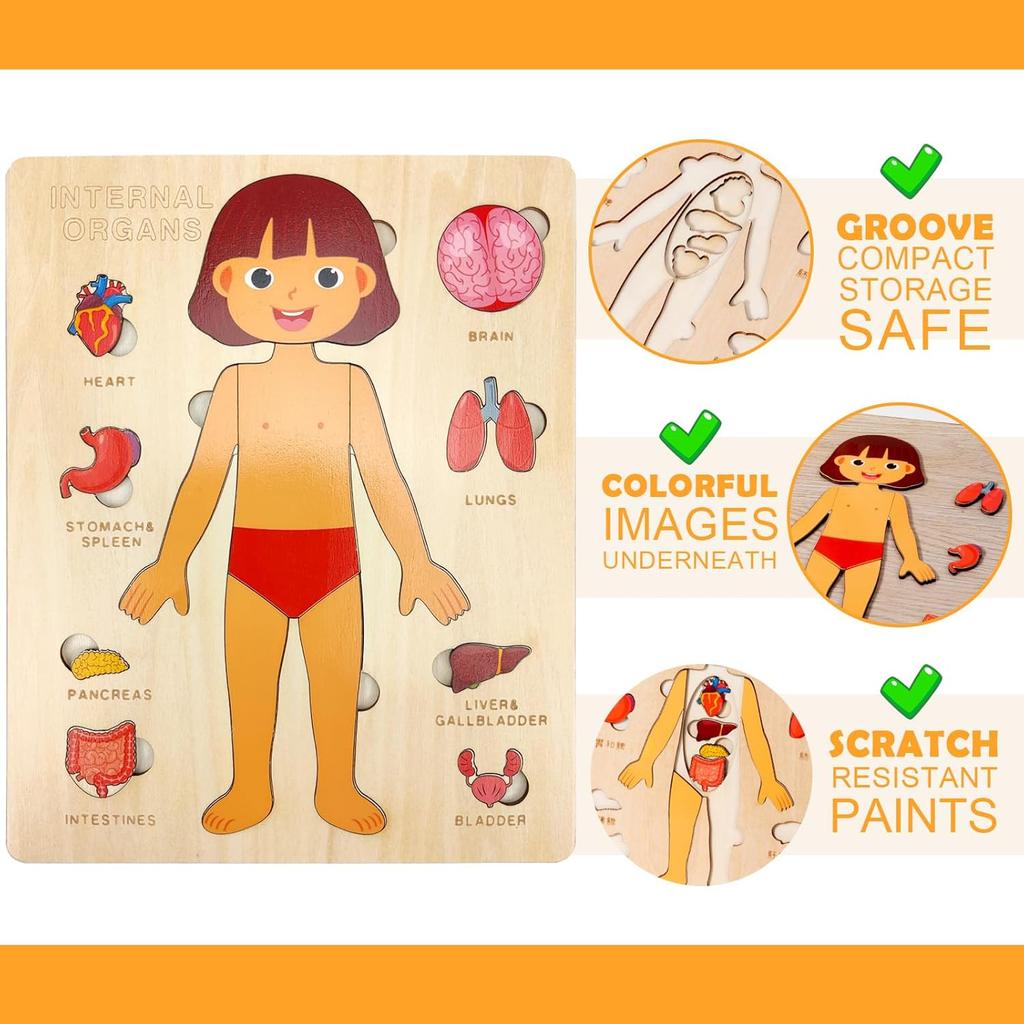 Montessori Style Puzzles ideal for Toddlers Human Body Puzzle Anatomy Playing Kit Preschool Games Educational Human Body Parts Anatomy Skeleton Toy