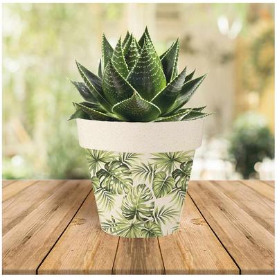 [A1704] - Green 'Tropical' Bamboo Planter (monstera) -  14x12cm