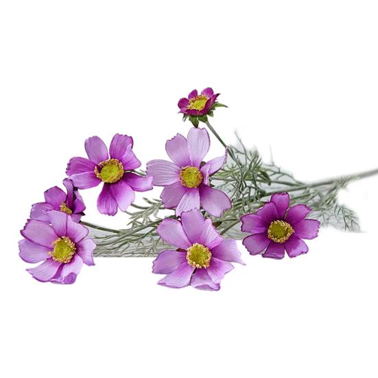 1 Branch Faux Silk Flower Flexible Realistic 8 Heads Outdoor Indoor Beautiful Fake Flower Party Decor