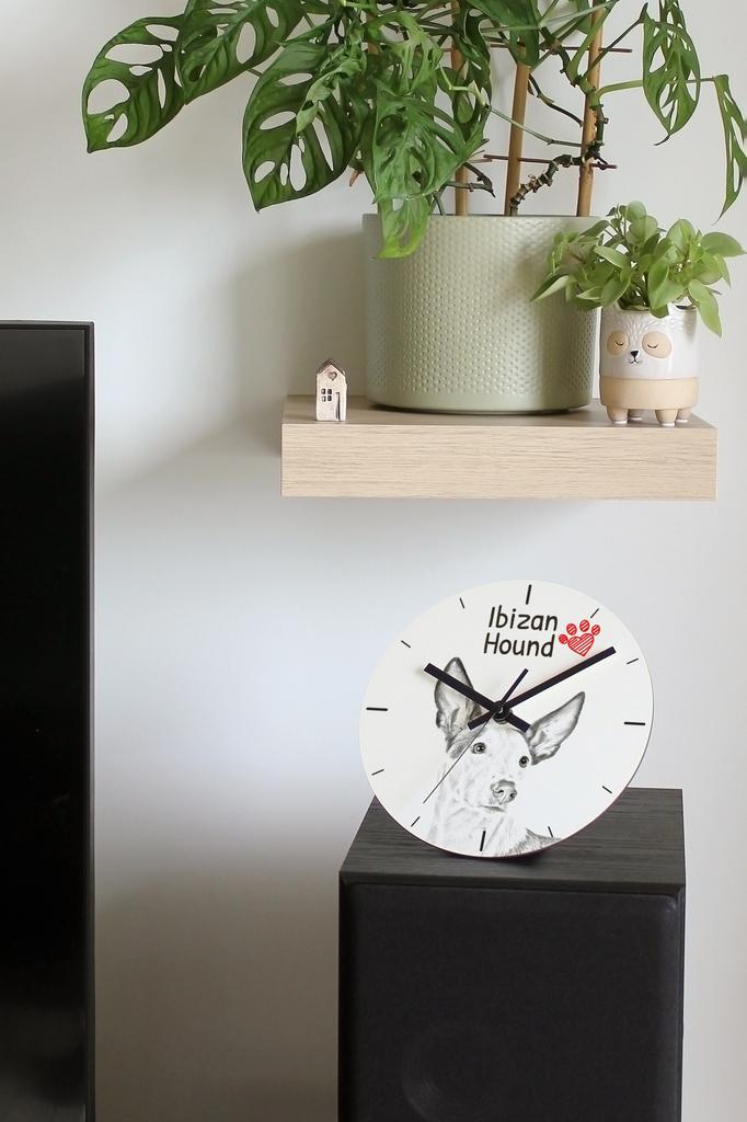 Ibizan Hound, Ibizan Podenco – Wall clock with a dog, shelf clock with a print | Art-Dog
