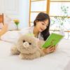 Soft Cute Alpaca Plush Toy Cute Lamb Sleeping Pillow Doll Doll Sleeping Pillow Furniture Ornament
