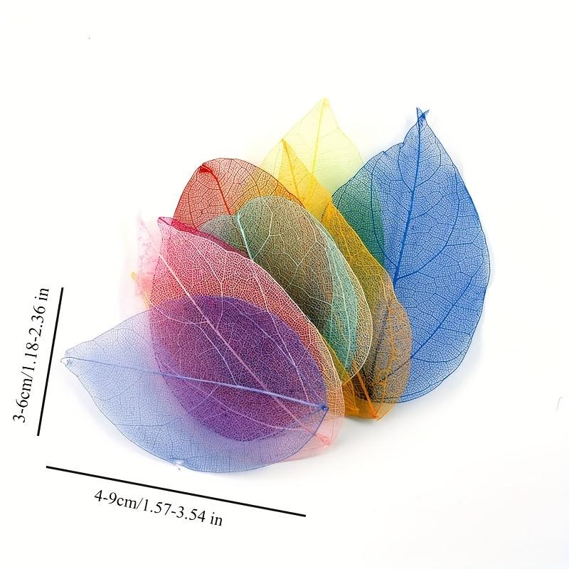 10pcs Colorful Diamond-Veined Pressed Flowers, Decorative Art Dried Flowers, DIY Handmade Materials For Making Accessories