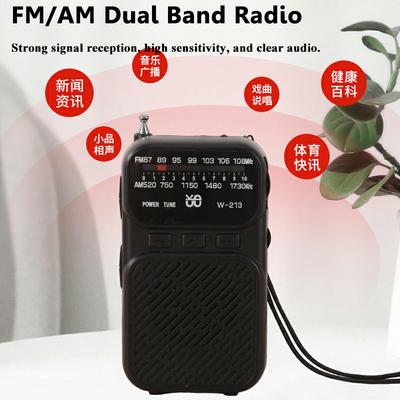 Mini Portable Pointer FM AM Radio LED Flashlight Stable Signal DSP Radios Rechargeable Bluetooth Speaker Earphones Listening Ra