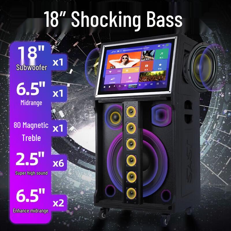 SAST SA-262 All-in-One Outdoor KTV Audio System CN plug (adapter included)