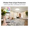 Smart Control Led Colorful Ceiling Light for Living Room Dining Room Decorative Excellent Atmosphere Creater Lamp