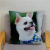 Cute Mini Chihuahua Dog Decorative Pillowcase Office Living Room Car Ornaments Home Pillowcase