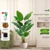 Luxurious Indoor Bionic Bird of Paradise Faux Plant