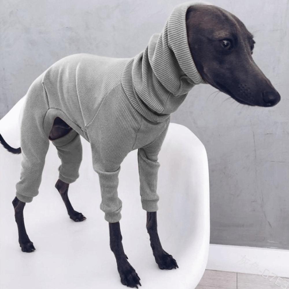 

Эластичный комбинезон для собаки Мягкая пижама для питомца Повседневный стиль Водолазка для питомца Для ежедневных прогулок L серый