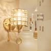 Crystal Wall Sconce, Gold and Silver Simple Wall Lamp for Bedroom Living Room, Plug In Dimmable Lighting