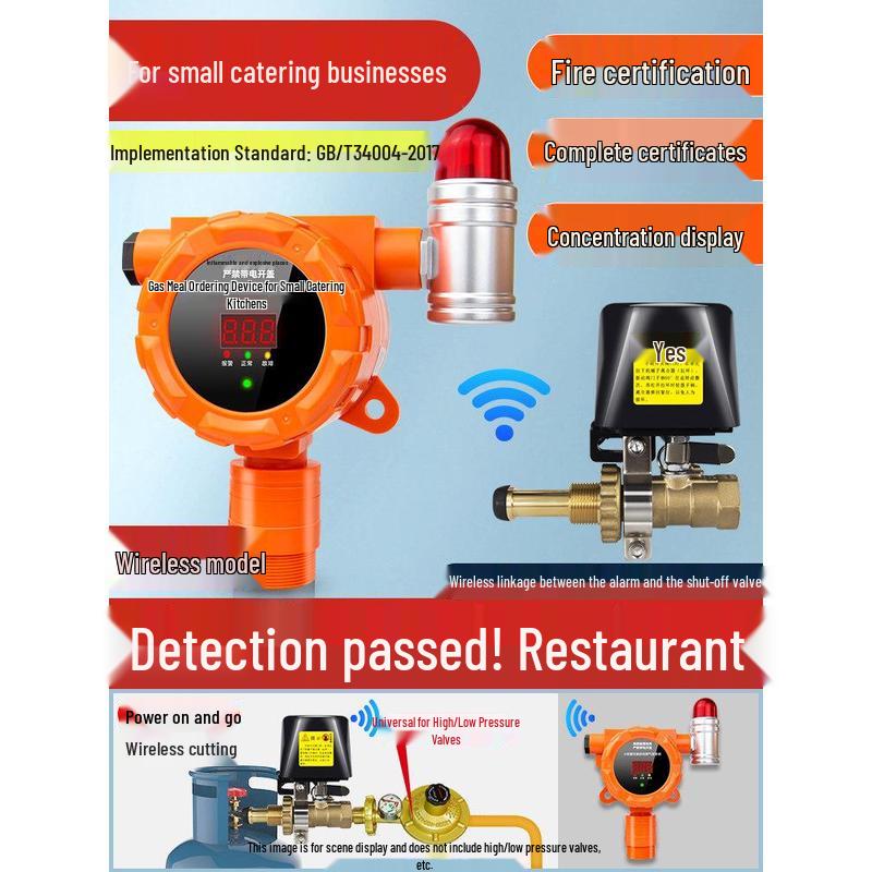 MDNG Baorui Combustible Gas Alarm with Auto Shut-off CN plug (adapter included)