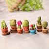 5Pcs Miniature Succulent Plant In Pot For Dollhouse Furniture Decoration Home