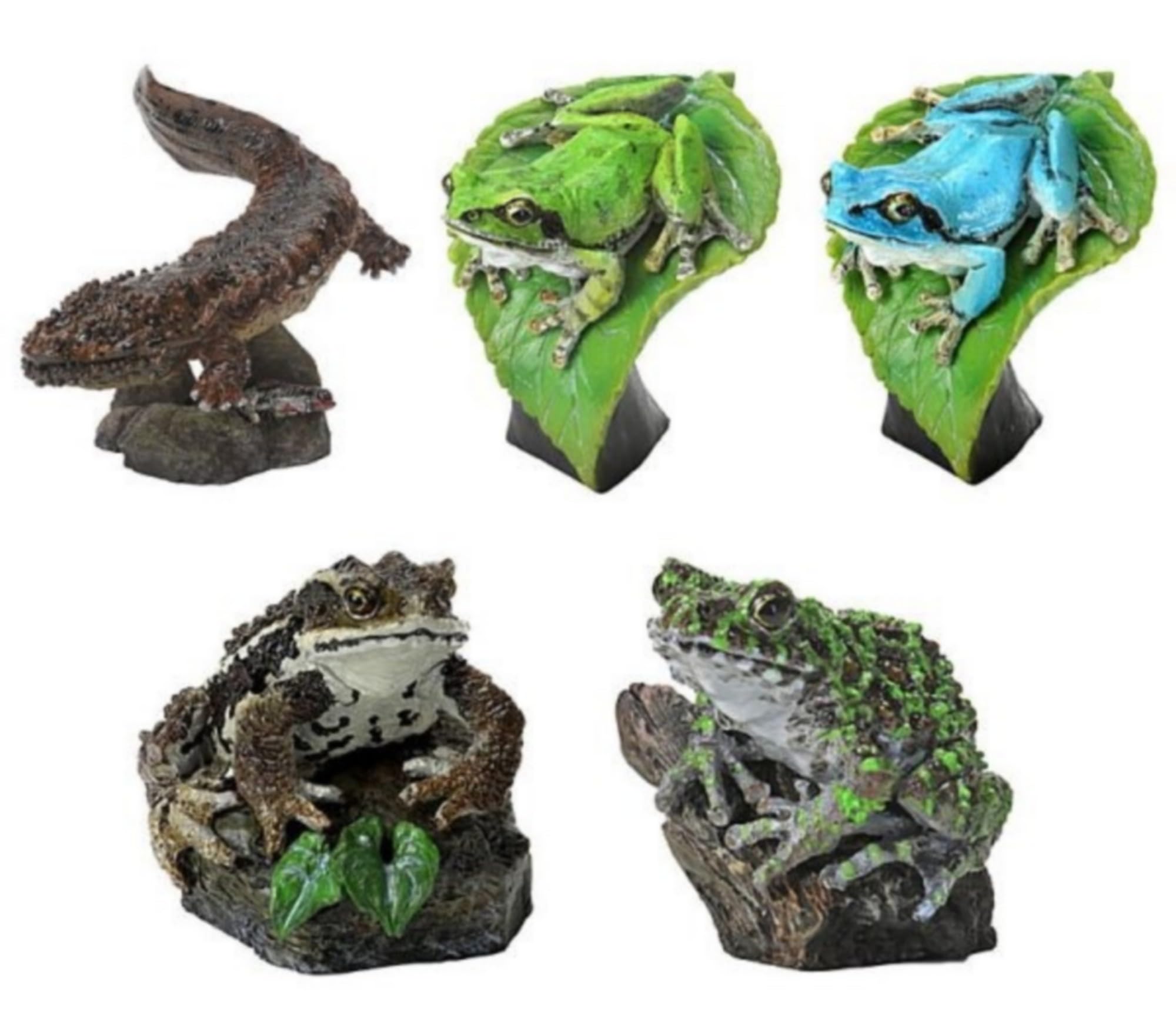 

Creature Encyclopedia Mini Collection Amphibians 01 x All 5 Types Set Full Comp Gacha Gacha Capsule Toy