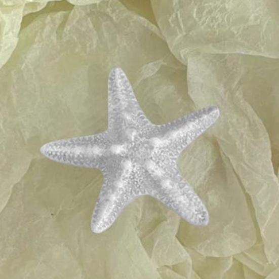 5PCS Girls Hairpin with Simulated Starfish Shape Hair Clip Stable Grip Macaron Colors Hair Accessory for Beach