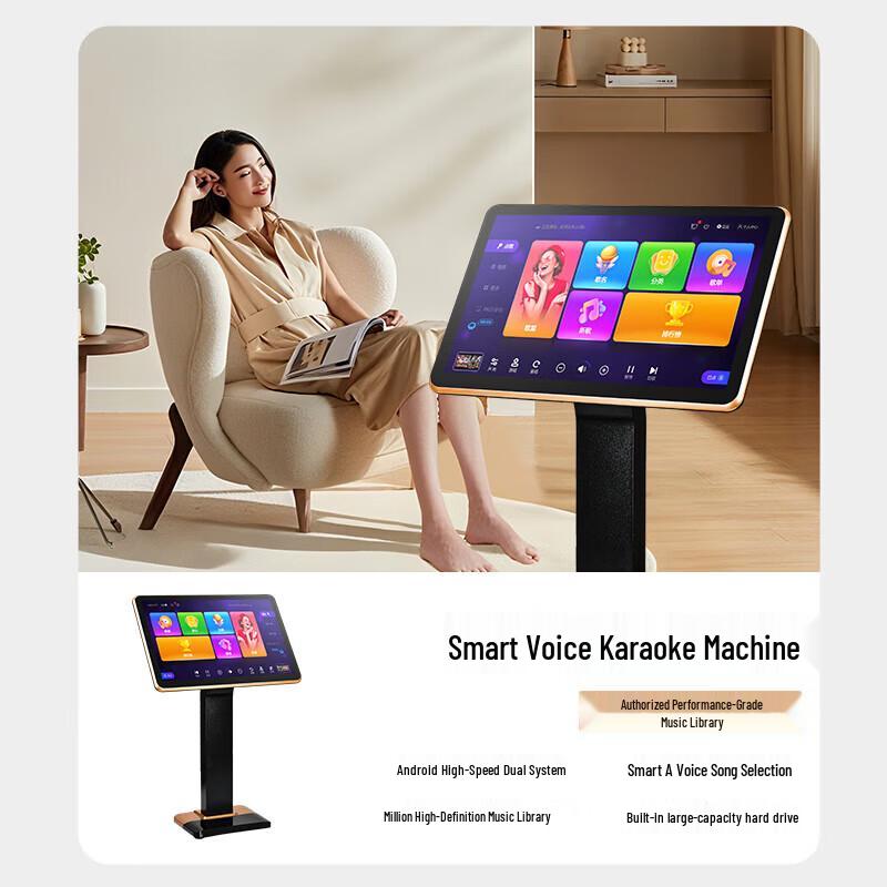 Philips 10-inch Home KTV Speaker Set CN Plug (adapter Included)