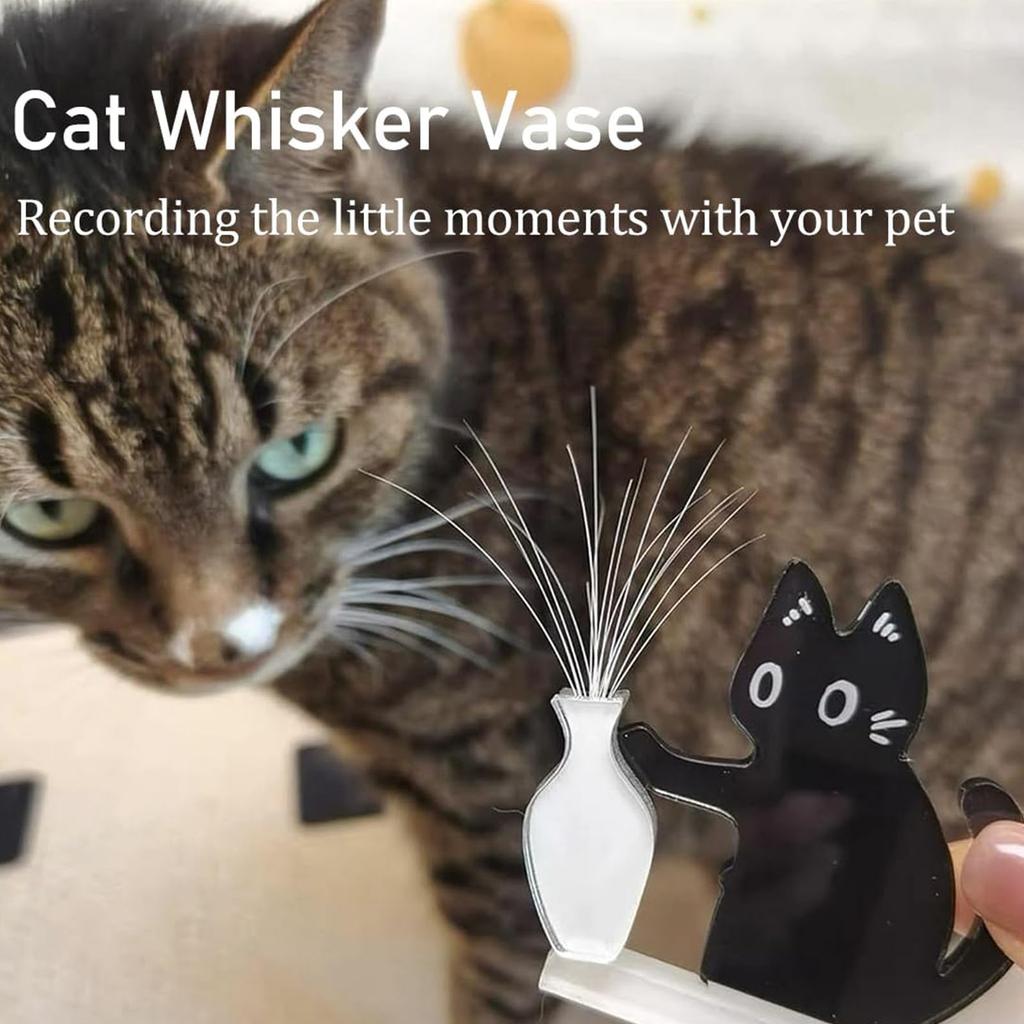Acrylic Cat Whiskers Collection Ornament Cartoon Cat Hair Storage Memorial Box Cat Pushing Vase Decor Refrigerator Magnet