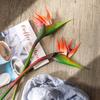 Elara Bird of Paradise Single Stem Artificial Flower for Wedding Decoration, INS Style