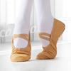 Canvas Soft Flats Training Ballet Dance Gils Shoes Flats Shoes Girls Ballet Shoes Dance Shoes