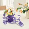 Rattan Bicycle Flower Basket Decorative Bike Planter New Woven Flower Basket  Indoor Decoration