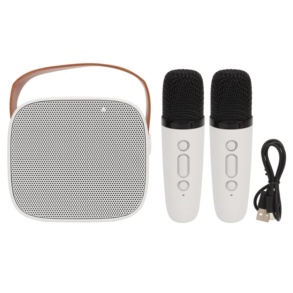 P2 Mini Karaoke Machine Portable Bluetooth Speaker with Wireless Microphone for Adults Kids White