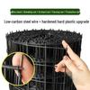 Pájaros – Productos avícolas