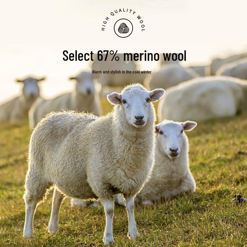 Fengxun Classic Double-Sided Wool Blend Long Coat