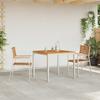 Garden Chair 2 Pcs Solid Teak Wood and Stainless Steel