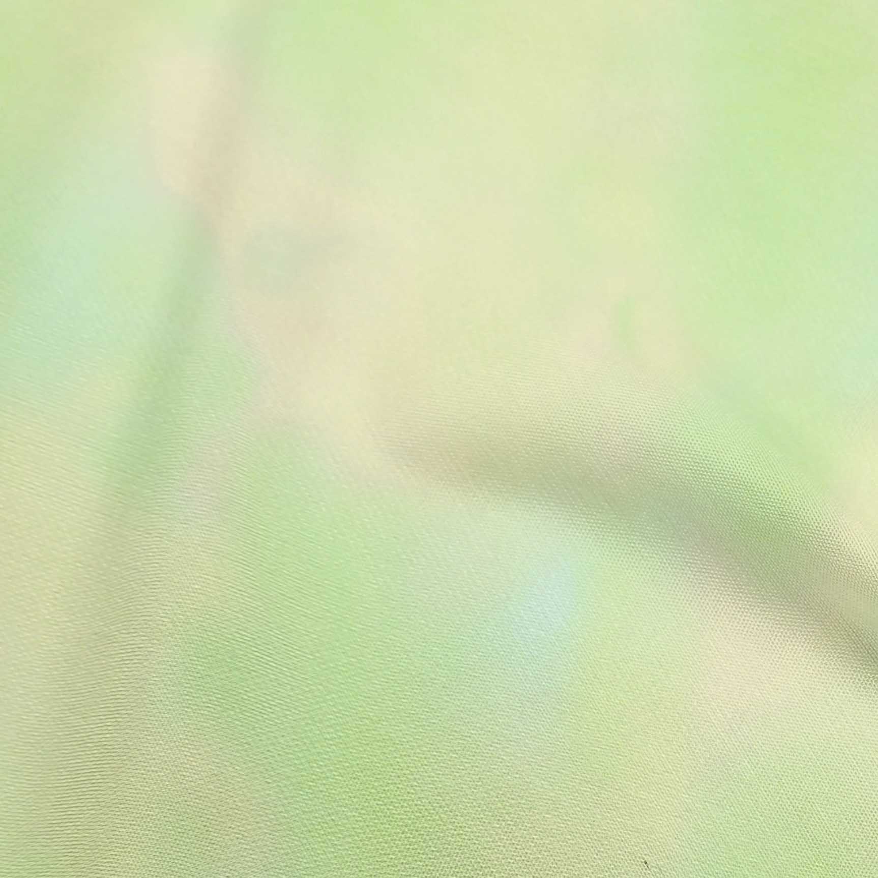 

oneOone Бавовняний поплін Світло-блакитна тканина Абстрактні обличчя Приладдя для стьобання Тканина для шиття з принтом у дворі 42 дюйма 42 Inch Wide - Viscose Chiffon м ята зелений колір