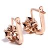 Exclusive For Women'S Ear Buckles With Exquisite Temperament And Zircon-Plated Rose Gold Earrings.