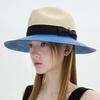 [Brown Hat]_Delphin Panama