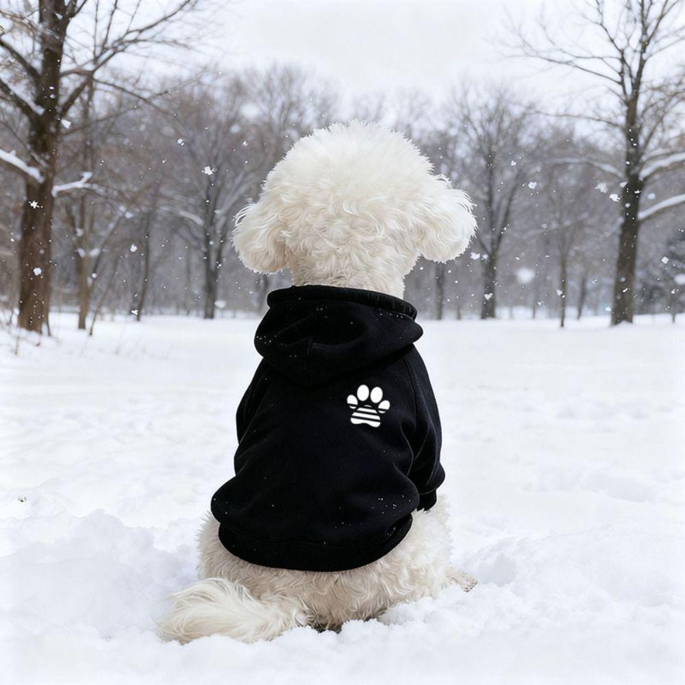 Windproof Dog Clothes Cotton Dog Sweatshirt Fashion Pet Coat  Small Dogs