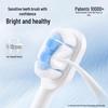 SOOCAS X3S Sonic Electric Toothbrush CN Plug (adapter Included)