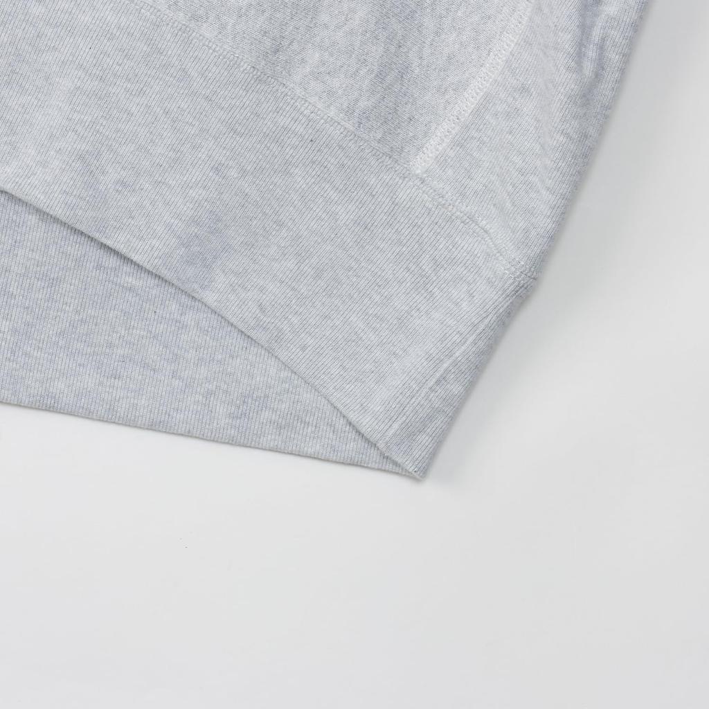 Champion Long Sleeve Graphic Print REVERSE Crew Neck Silver Men's WEAVE® Sweatshirt, Gray, C3-A031