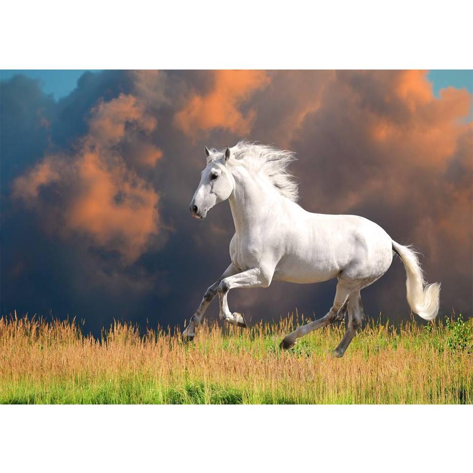 5D DIY Diamond Painting Animal Cross Stitch Kit Full Diamond Embroidery Horse Rhinestone Picture Mosaic Home Decoration Gift