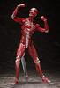 Figma модель человеческого тела раскрашенная подвижная фигурка F51042 нестандартного масштаба АБС и ПВХ
