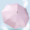 Poetry Collection Automatic Folding UV Umbrella
