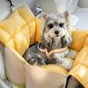 Dog Car Seat Bed Waterproof Car Pet Nest Dog Booster Seat Anti-Slip Bottom Upholstery Protection for Dogs
