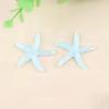 E-Commerce Firm Sale 40mm Flatback Resin Cabochons Large Starfish Design with Artificial Sea Theme for Souvenirs