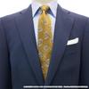 JoJo's Bizarre Adventure DIO Tie Stylish Design Polyester Fabric Neckwear