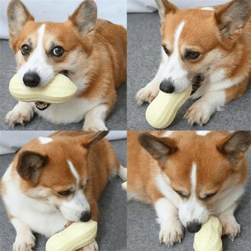 Squeaky Peanut Dog Chew Toy for Aggressive Chewers Interactive Pet Toy for Teeth Cleaning and Anxiety Relief Durable Rubber