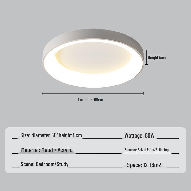 Nordic Style LED Ceiling Lamp