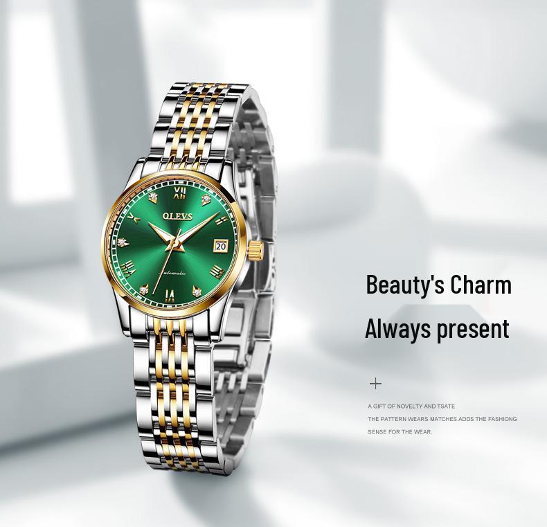 Oulishi Ladies' Automatic Diamond Roman Numeral Watch