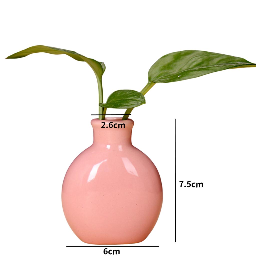 Rustic Irregular Flower Plant Pot Holder Geometric Metal Rack Air Plants Holder Rack Nordic Style Garden Display Decoration RE