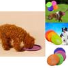 Vibrant Silicone Pet Dog Frisbee For Large Dog Outdoor Training And Fun Play