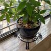 5Pcs Plant Stand Sturdy Base Rust-free Weather-resistant Iron Art Heavy Duty