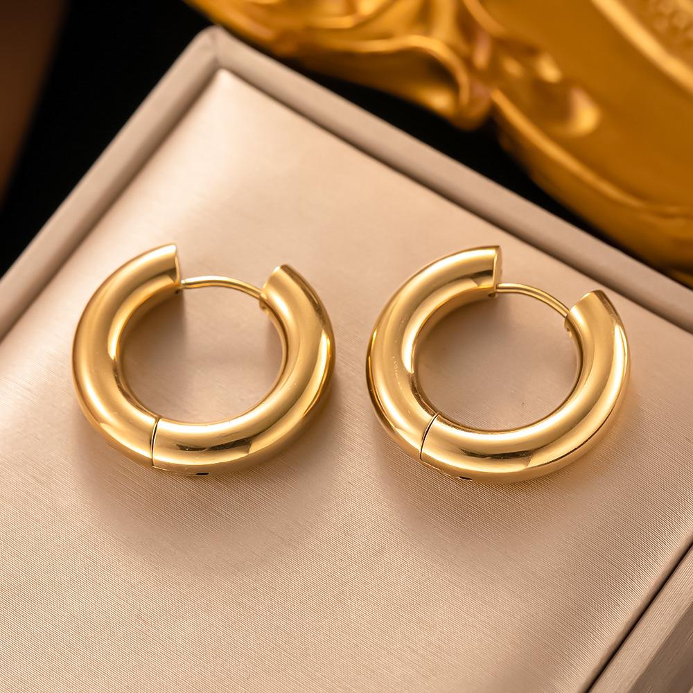 316L Stainless Steel Earrings For Women  Vintage Hip Hop Hoop Trend Colorfast Earrings High Quality Girl