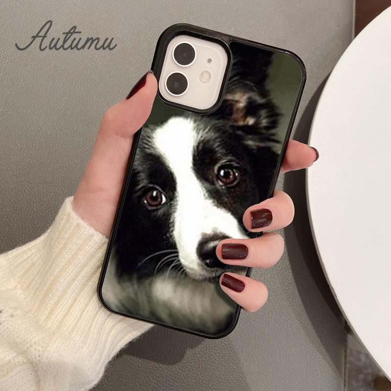 Süße Border Collie Hund Haustier Handyhülle für iPhone 11 12 13 14 Pro Max Mini XR XS SE 2020 6S 7 8 Plus Samsung Galaxy S21 S22 Cover